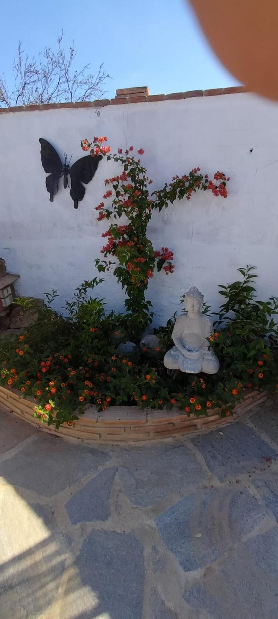 Bed and Breakfast Casa Ceratonia Alora Exterior foto
